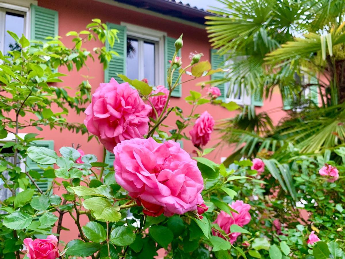 Il Giardino Segreto Arona, Charming Apartments Exterior photo